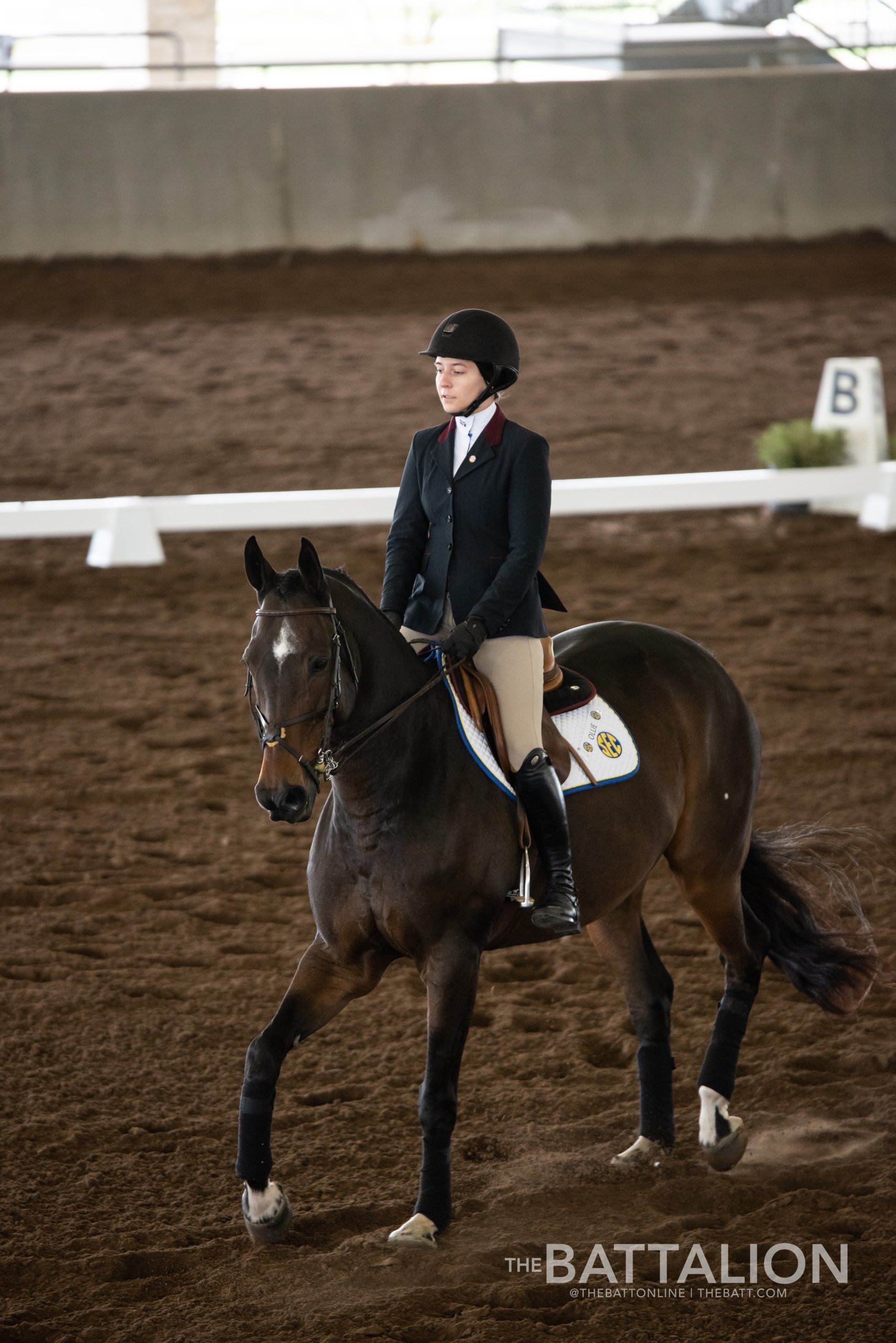 GALLERY: Equestrian SEC Championship Final