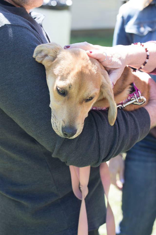 The second annual Bark-B-Que will be held at the Sigma Alpha Mu House from 1 p.m. to 3 p.m. on March 31.