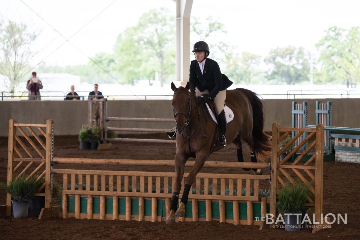 Sophomore Hayden Stewart scored a 120 in equitation over fences on March 30 in the SEC Championship final.