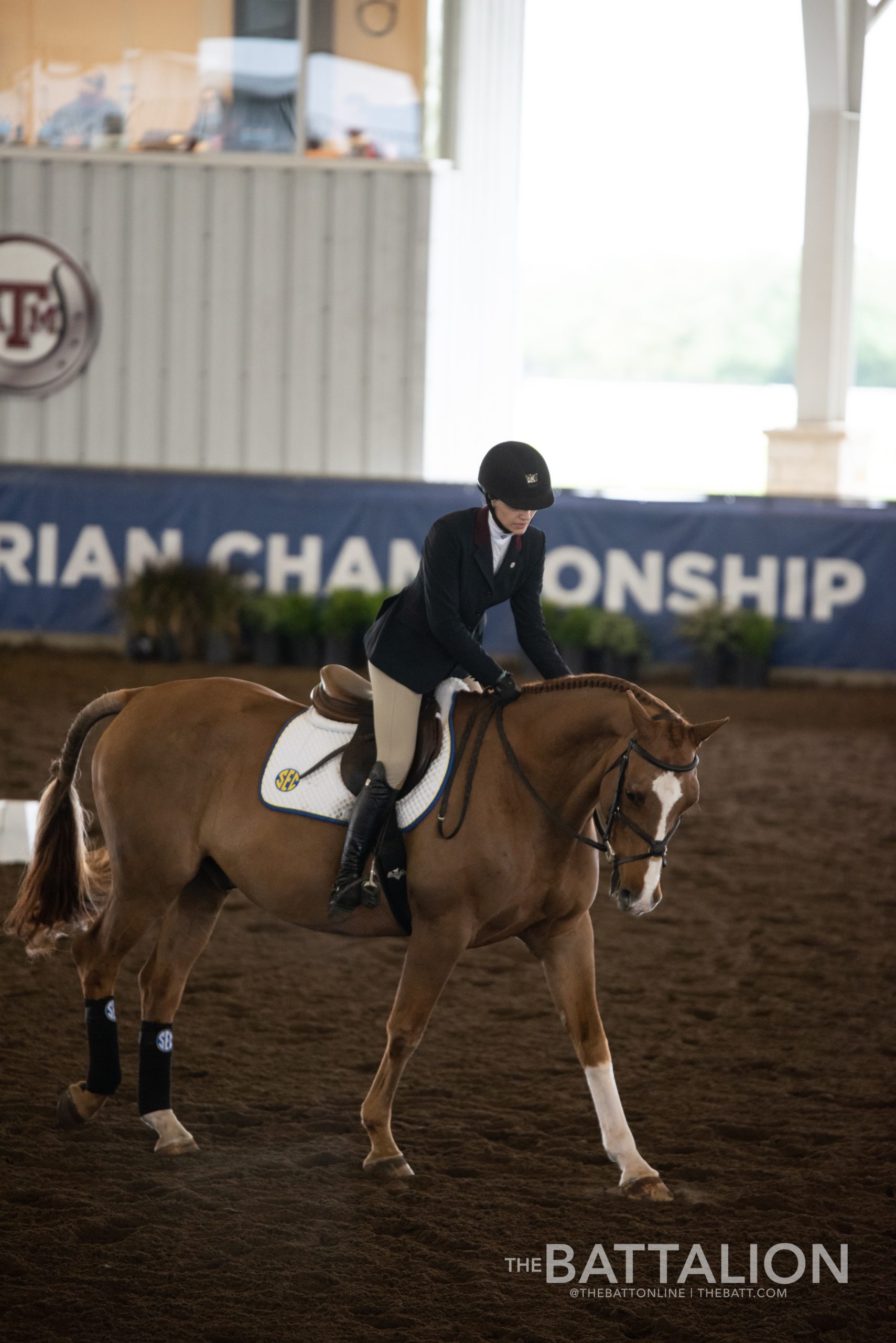 GALLERY: Equestrian SEC Championship Final