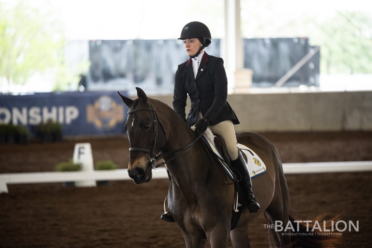Senior Rebekah Chenelle scored a 255 in equitation on the flat in the SEC Championship final on March 30.
