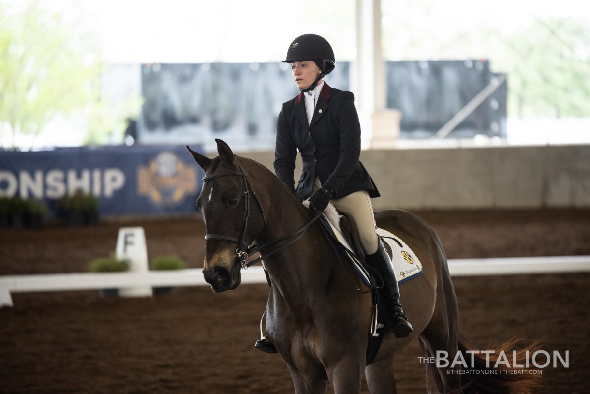 Senior+Rebekah+Chenelle+scored+a+255+in+equitation+on+the+flat+in+the+SEC+Championship+final+on+March+30.