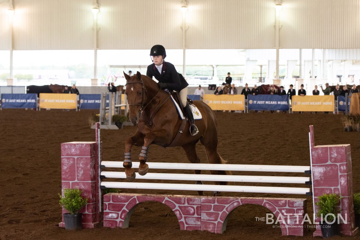 Freshman Haley Redifer scored a 176 in equitation over fences on March 30 in the SEC Championship final.