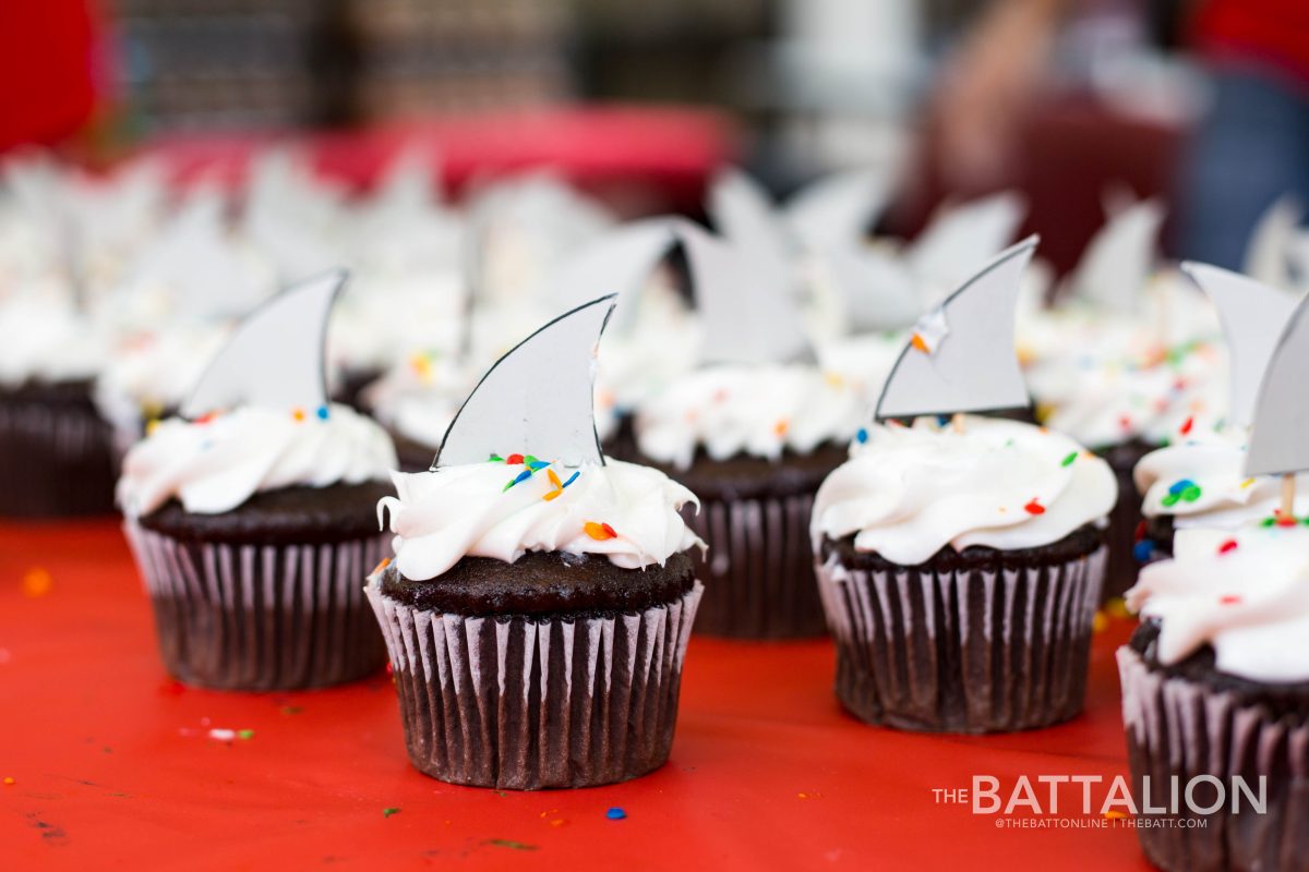 Cupcakes with shark fins were among the many treats offered at the MSC birthday party.