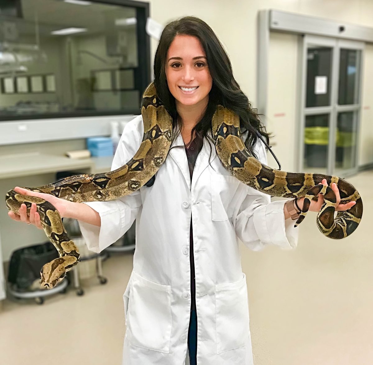 As a Texas A&M Vet student Rachel Ellerd, Class of 2021, has assisted in the care of animals ranging from kittens and birds to elephants and kangaroos.