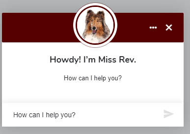 The Miss Rev artificial intelligence chatbot is now available on both the Career Center and Financial Aid websites. Miss Rev is an all-hours resource for students and parents.