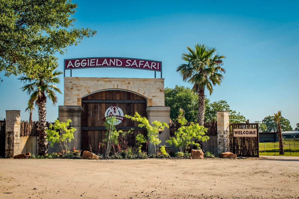 Aggieland+Safari
