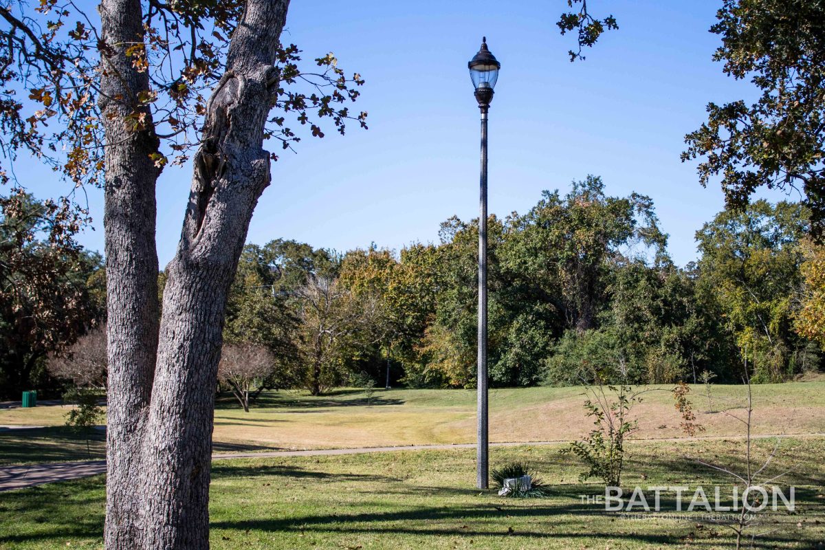 Twelve lamp posts in College Station’s Brison Park are accompanied by plaques bearing the names of the Aggies lost in the 1999 Bonfire Collapse.
