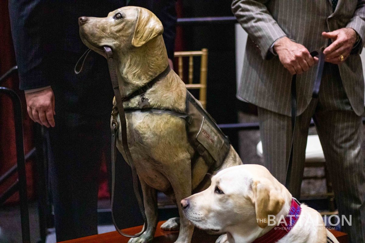 Service+dog+Sully+poses+next+to+a+bronze+statue+of+himself+unveiled+at+the+George+Bush+Presidential+Library+and+Museum+on+Monday.