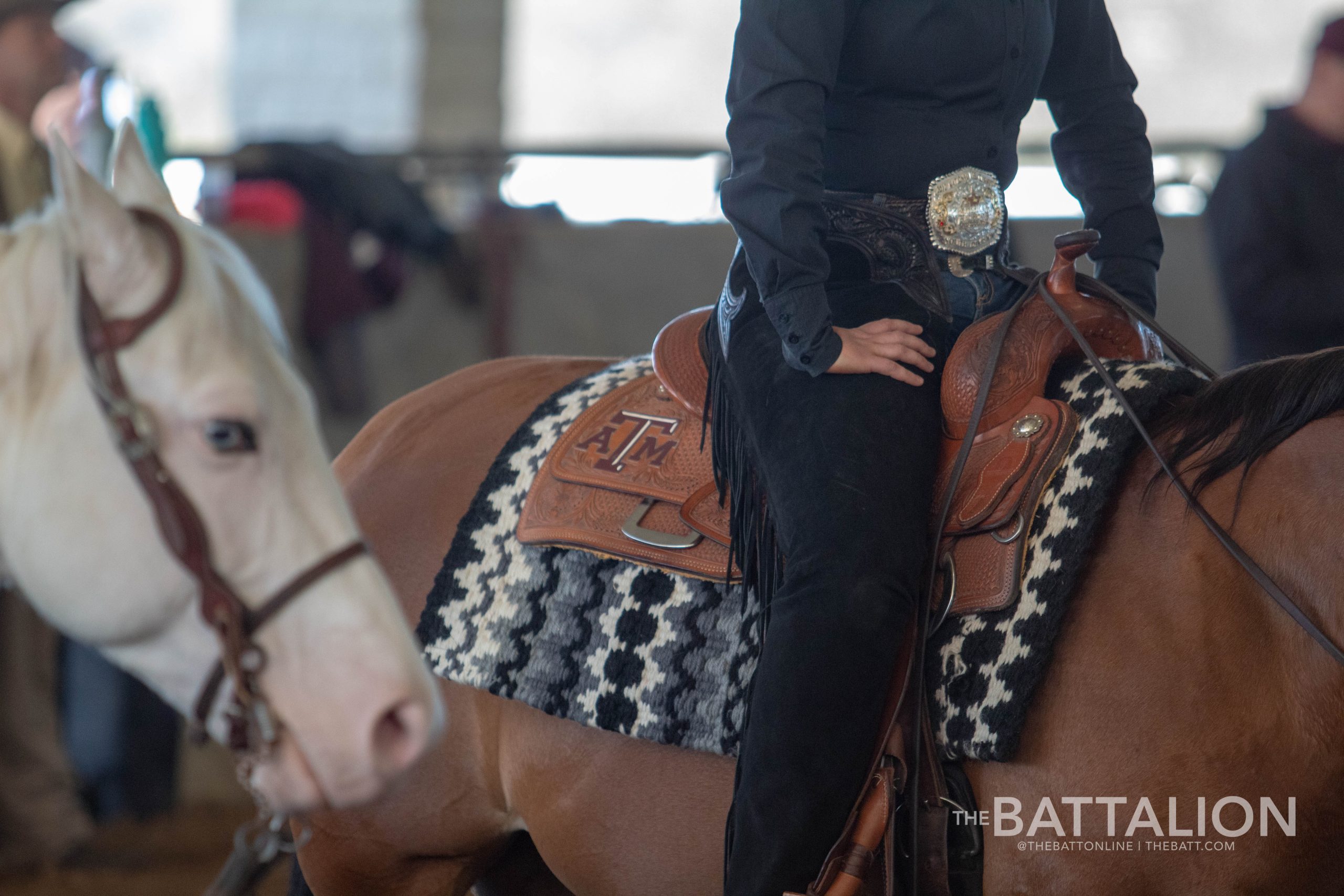 GALLERY: Equestrian vs. Baylor