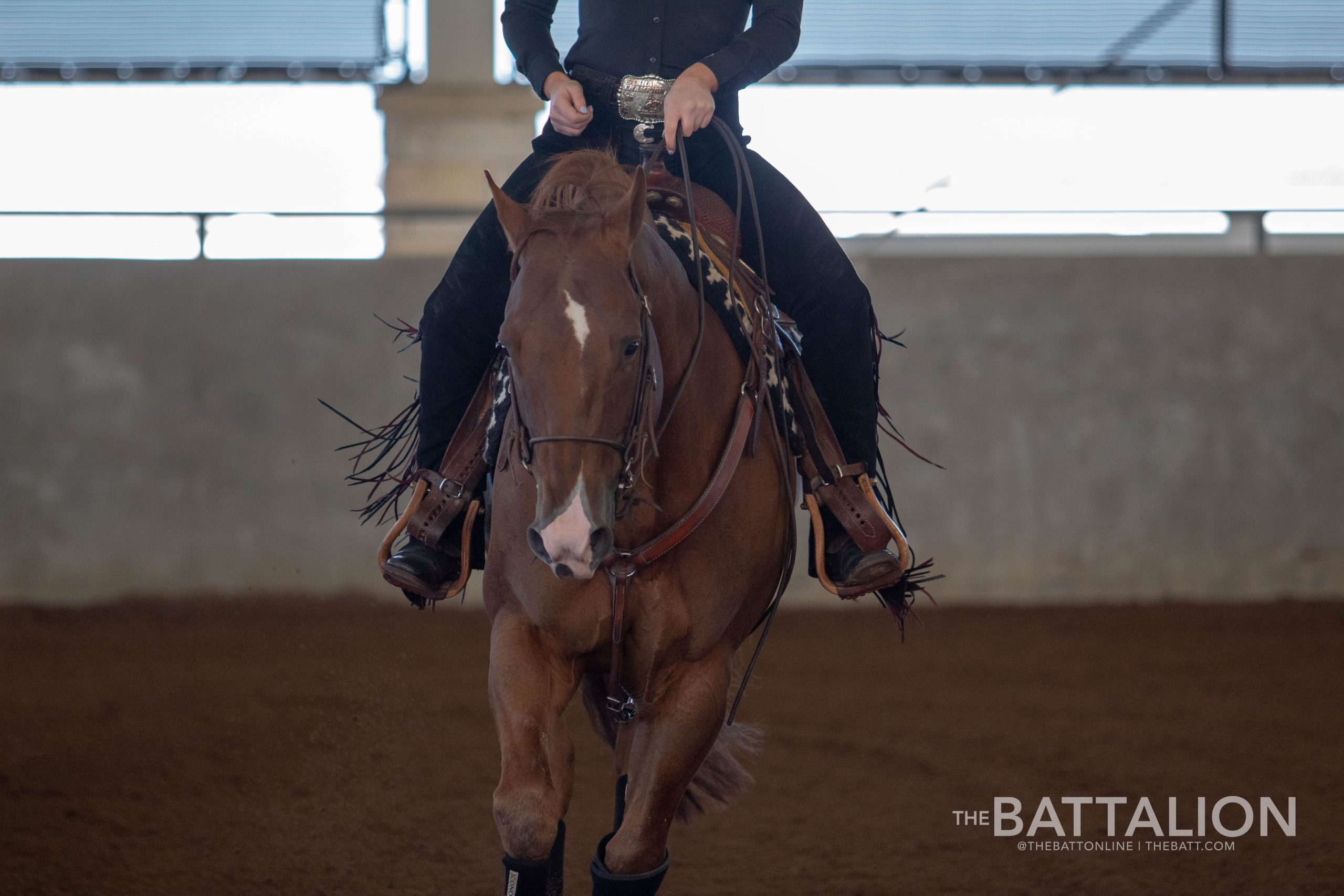 GALLERY: Equestrian vs. Baylor