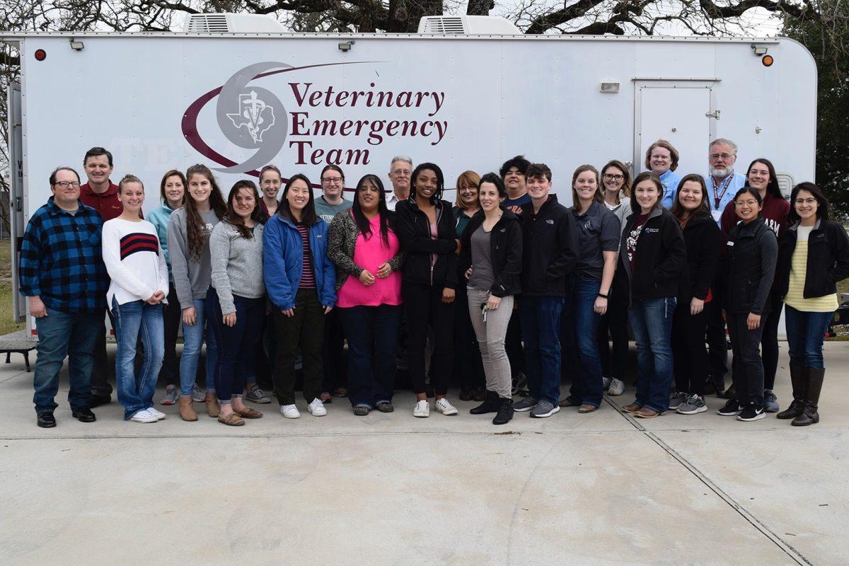 The Texas A&M Student Chapter of the Wildlife Disease Association and Green Vets hosted an oil spill response workshop to teach veterinary students about wildlife care.