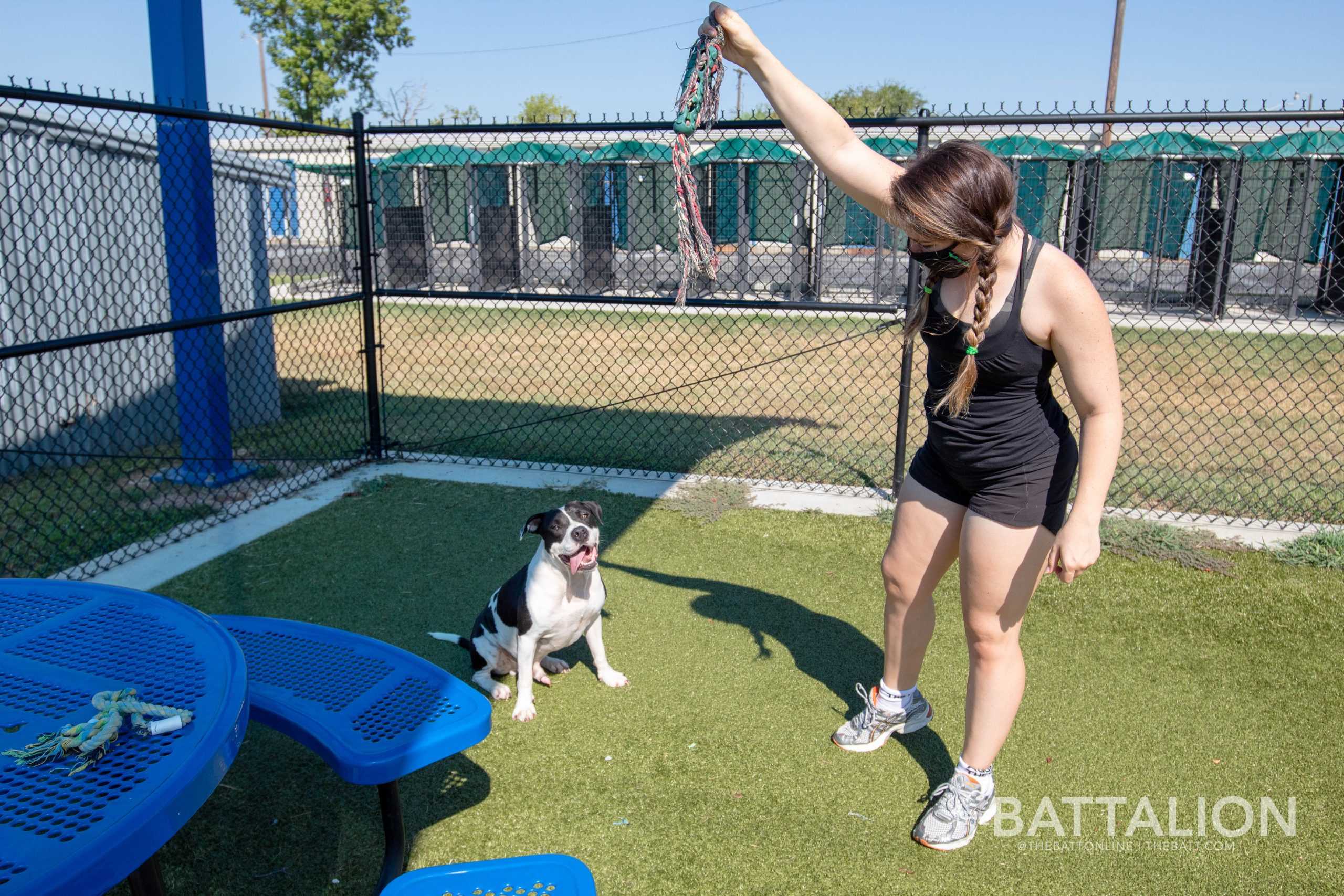 Adoptable animals look to find forever homes on &#8216;Clear the Shelters Day&#8217;