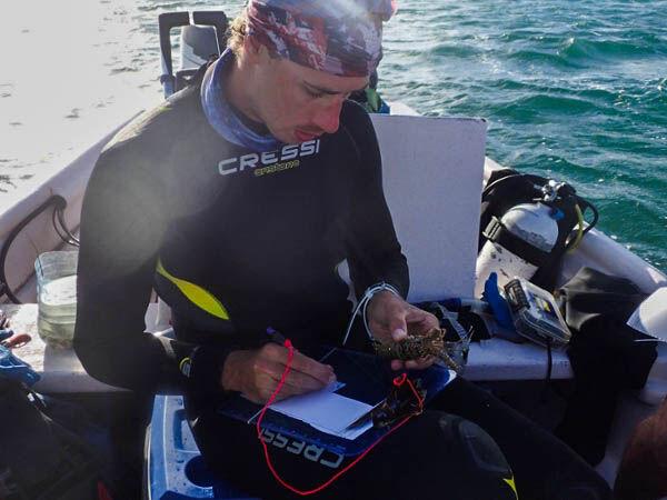 Phillip Matich, a Biology Professor at Texas A&M Galveston, and other researchers spent years observing and analyzing shark populations in several countries.