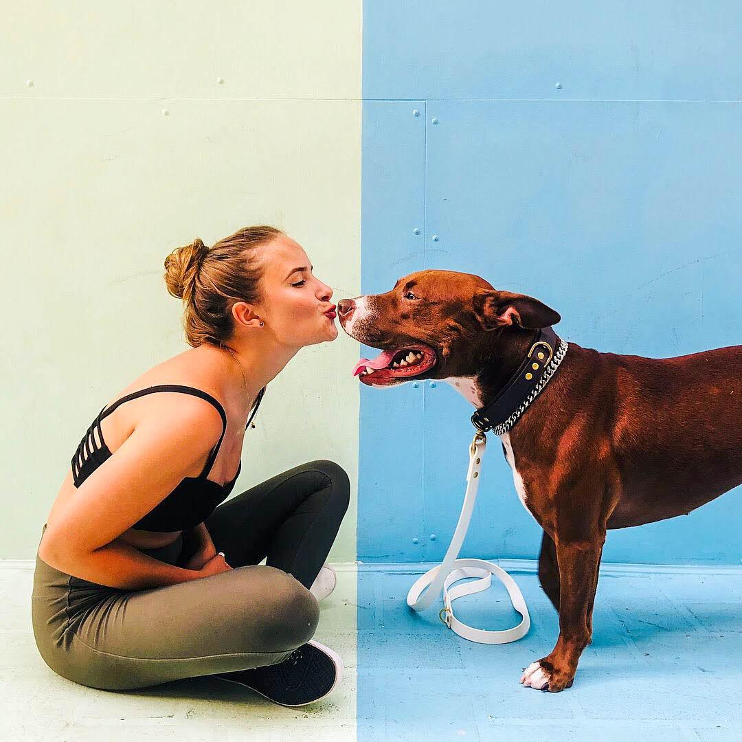 Biomedical sciences senior Bella Boone and her pitbull Baloo have gathered a large following on both Instagram and TikTok.