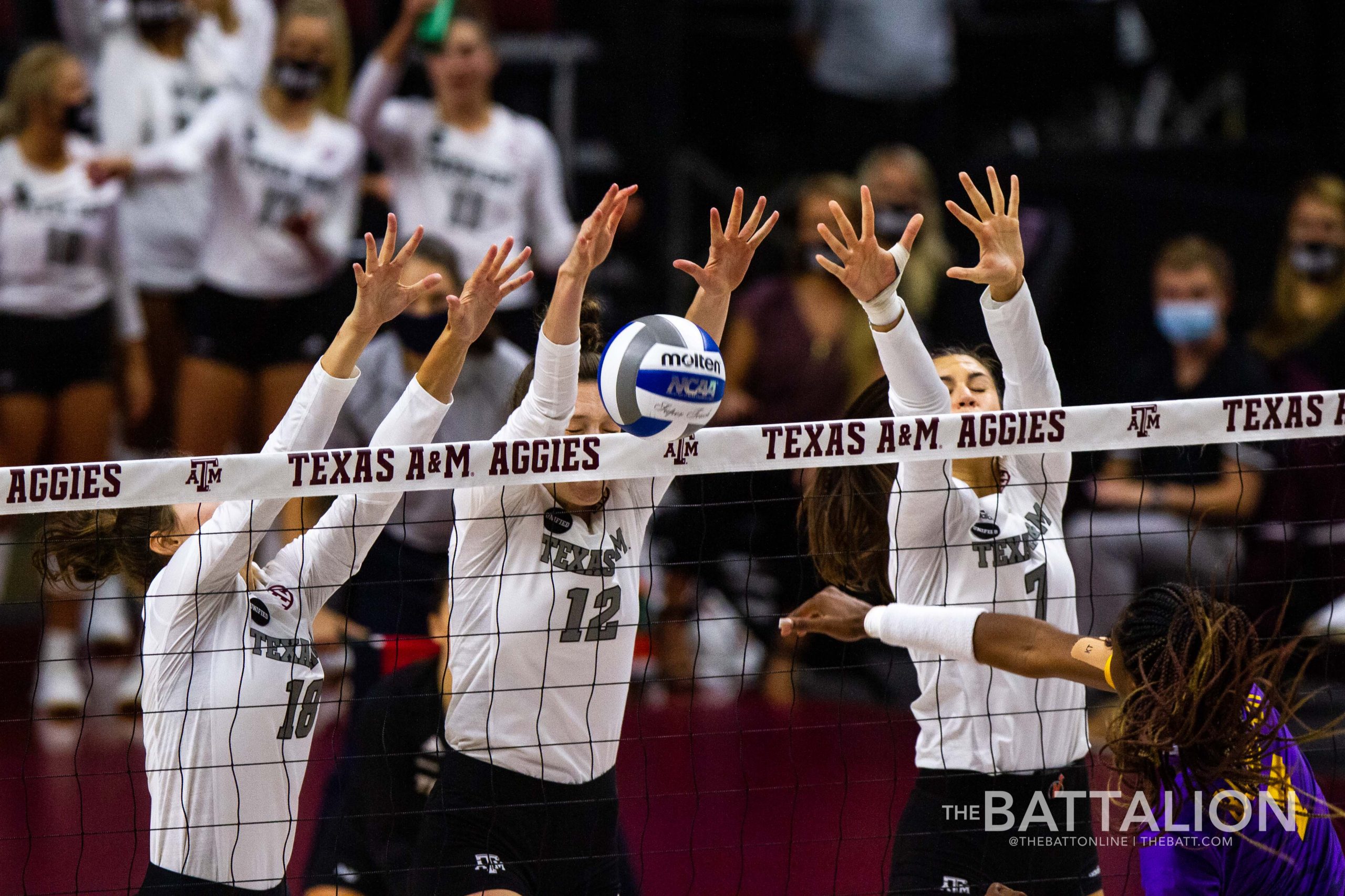 GALLERY: Volleyball vs. LSU Game 2