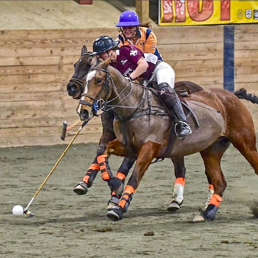 Texas A&M Polo