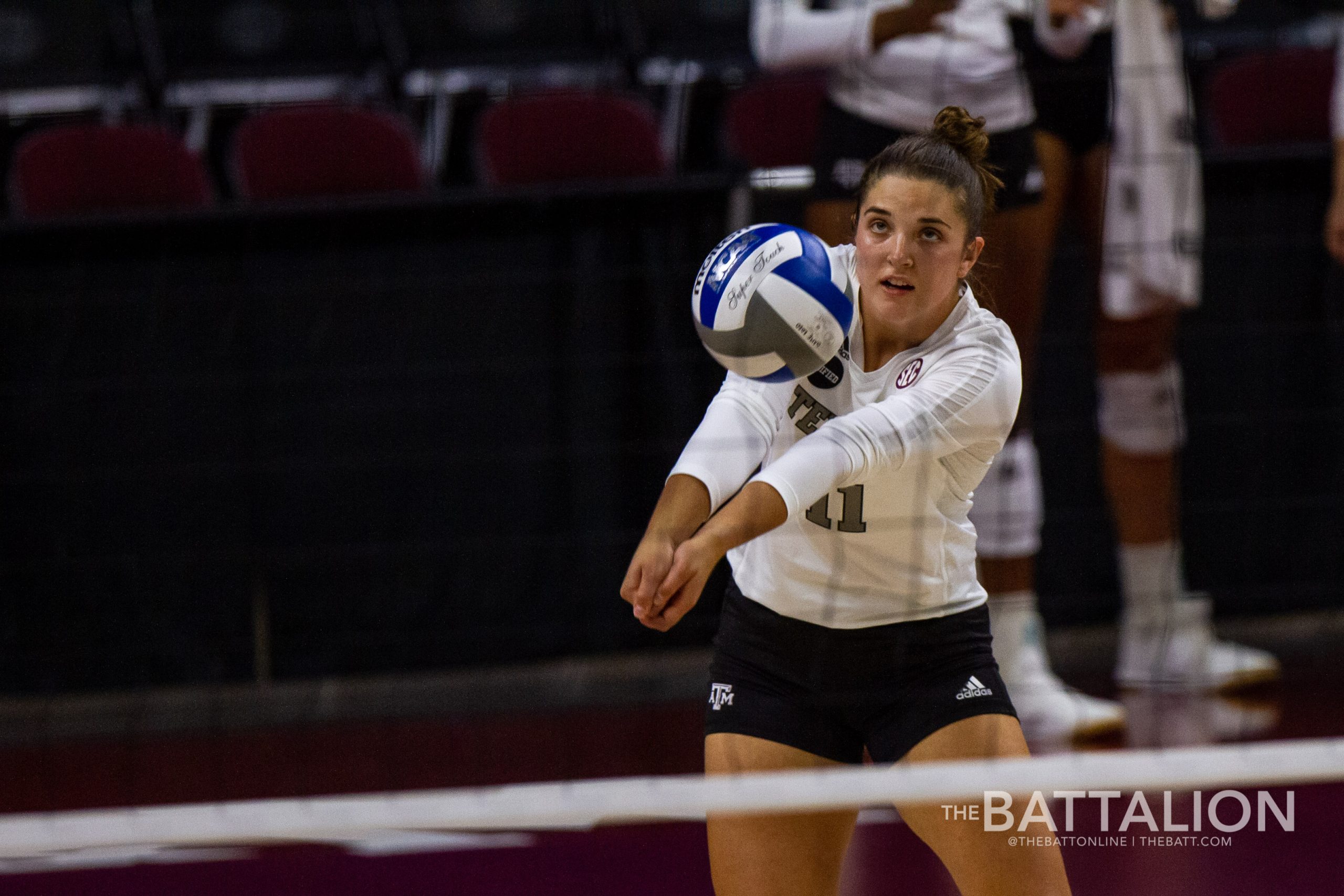 GALLERY: Volleyball vs. LSU Game 2