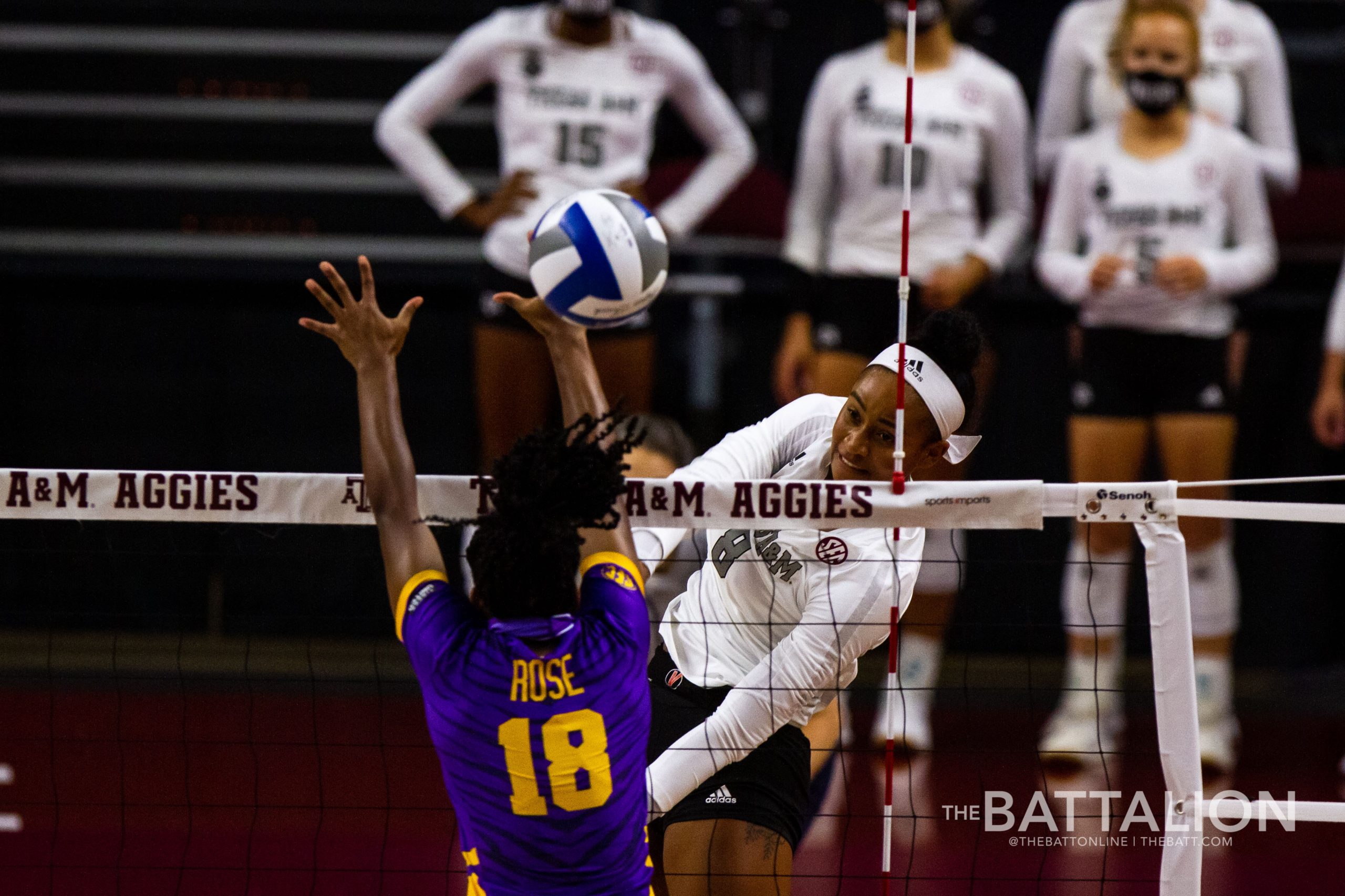 GALLERY: Volleyball vs. LSU Game 2