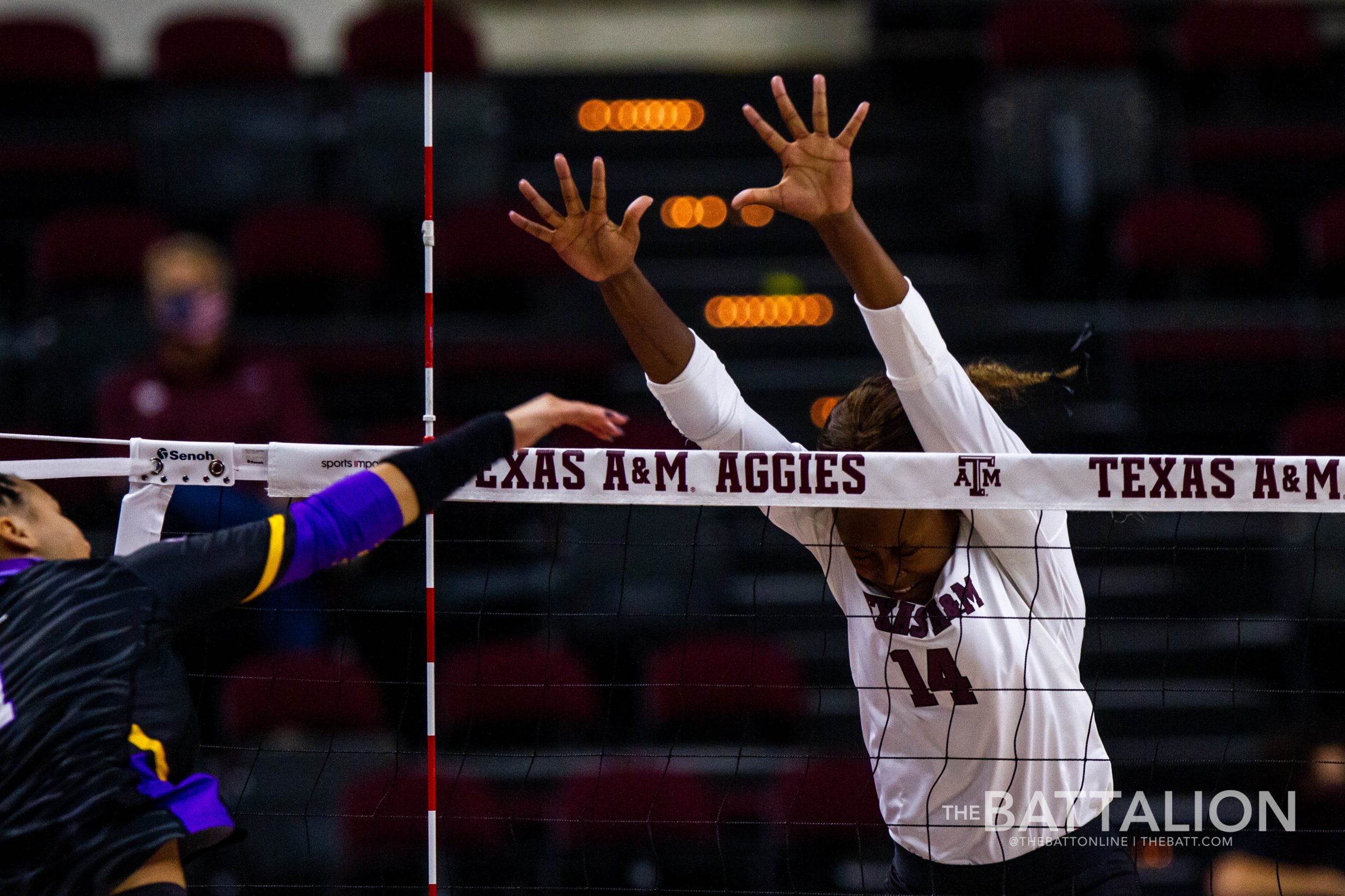 GALLERY: Volleyball vs. LSU Game 1