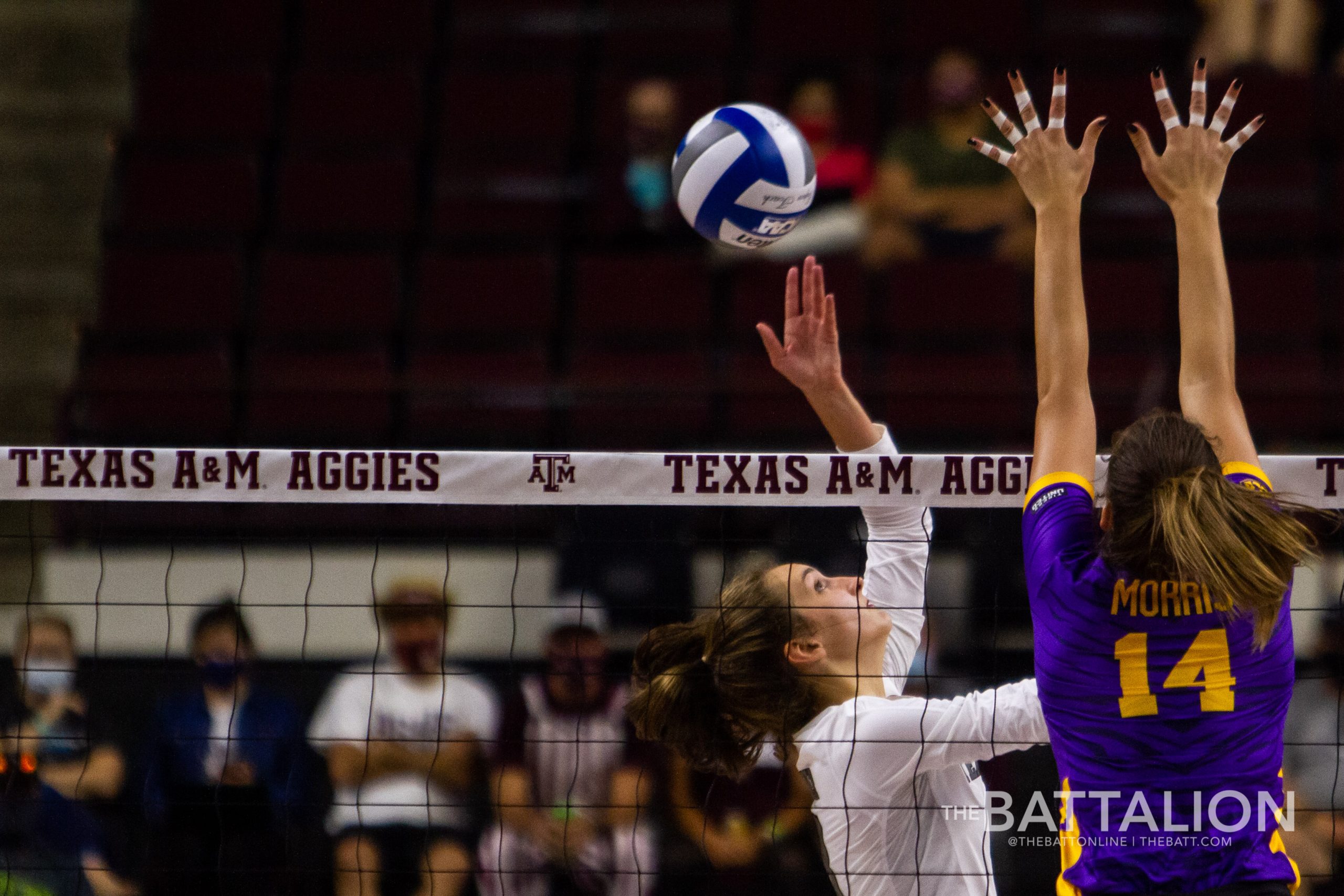 GALLERY%3A+Volleyball+vs.+LSU+Game+2