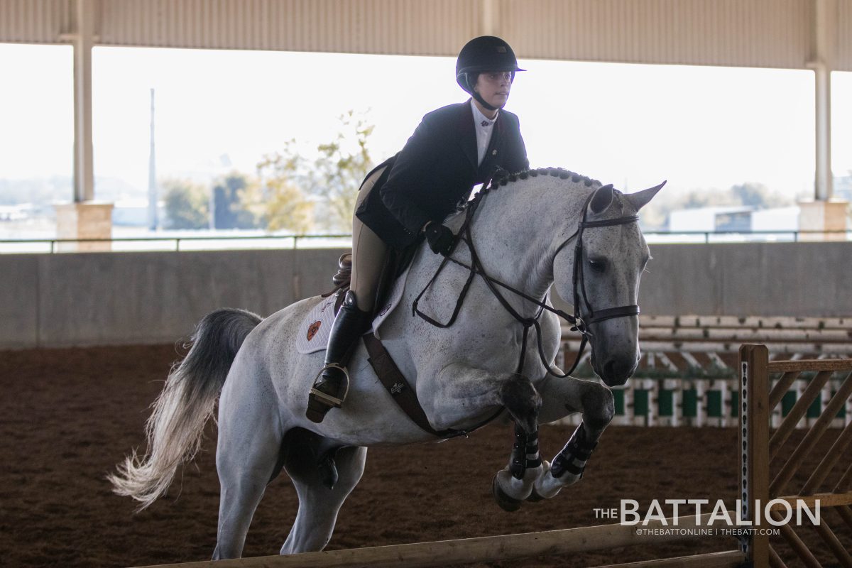 Freshman&#160;Alexis Ortiz&#160;competed on the horse Chapman scoring an 81 in the fences category.&#160;