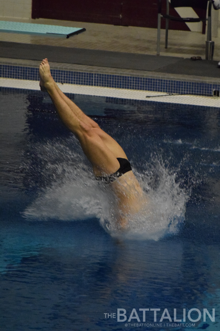 GALLERY: Men's Swimming vs. TCU