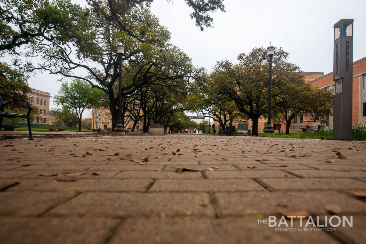 Military Walk