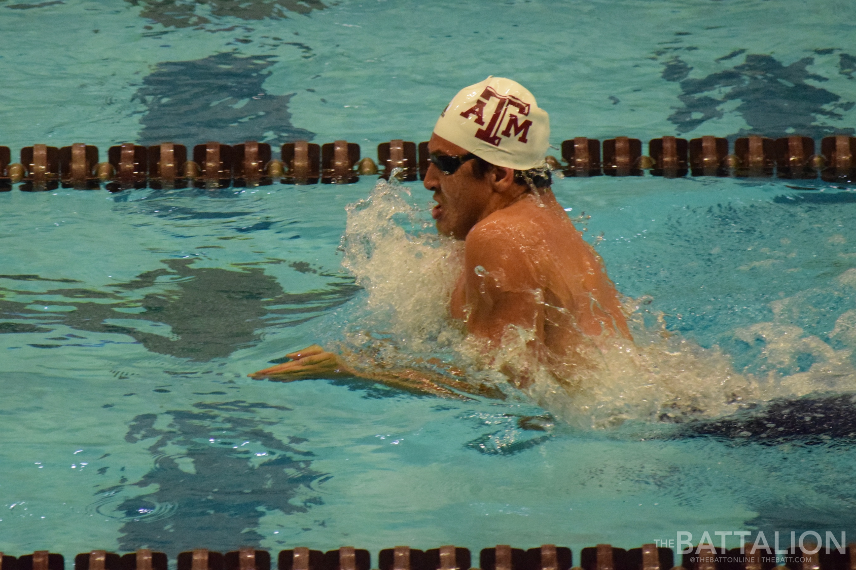 GALLERY: Men's Swimming vs. TCU