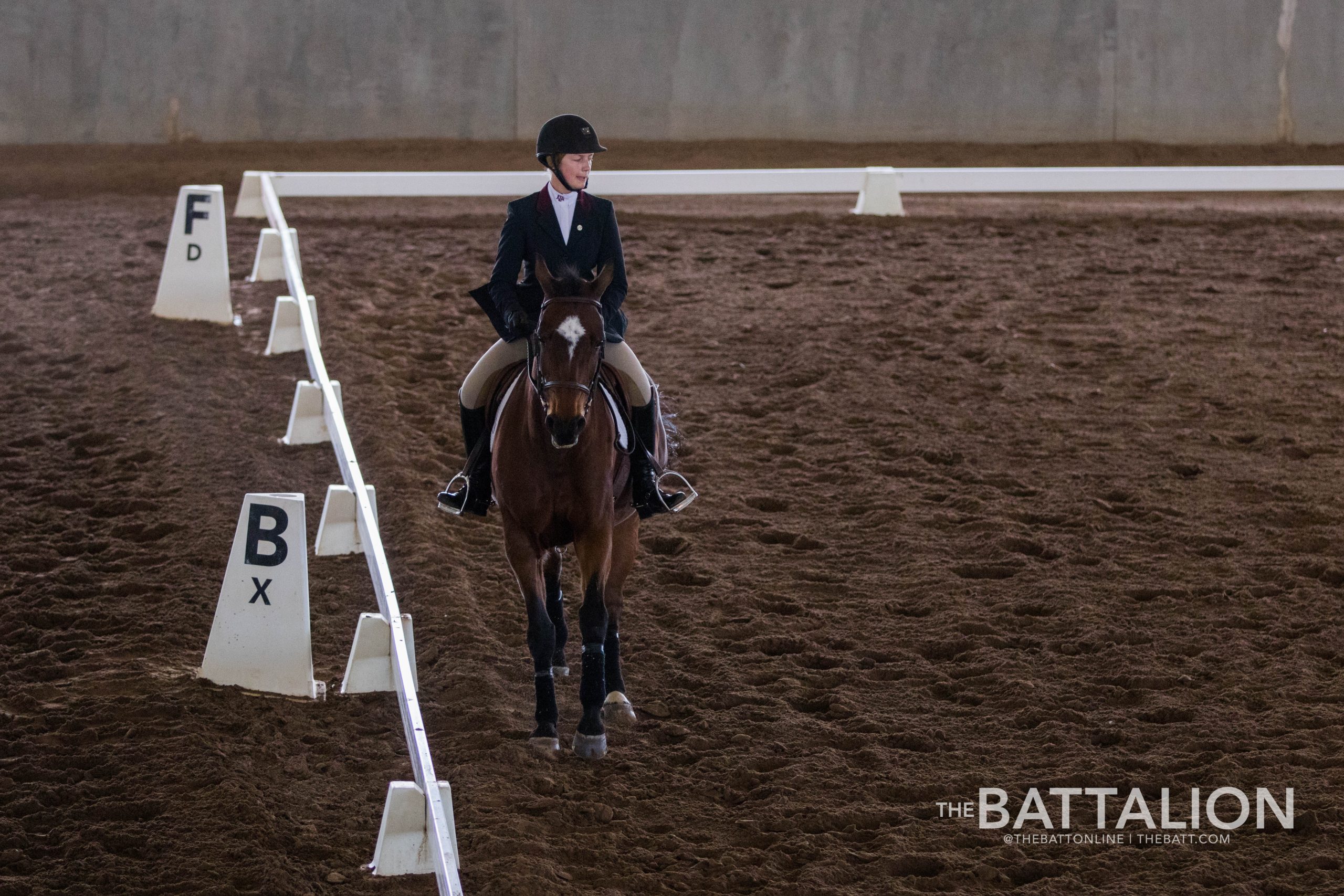 GALLERY: Equestrian vs. South Carolina