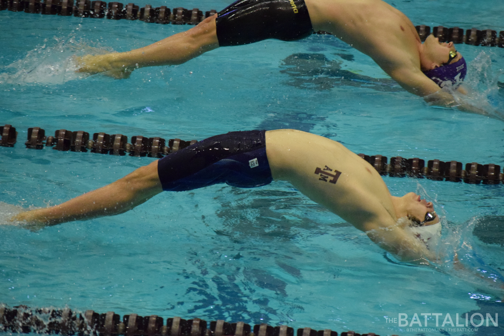 GALLERY: Men's Swimming vs. TCU