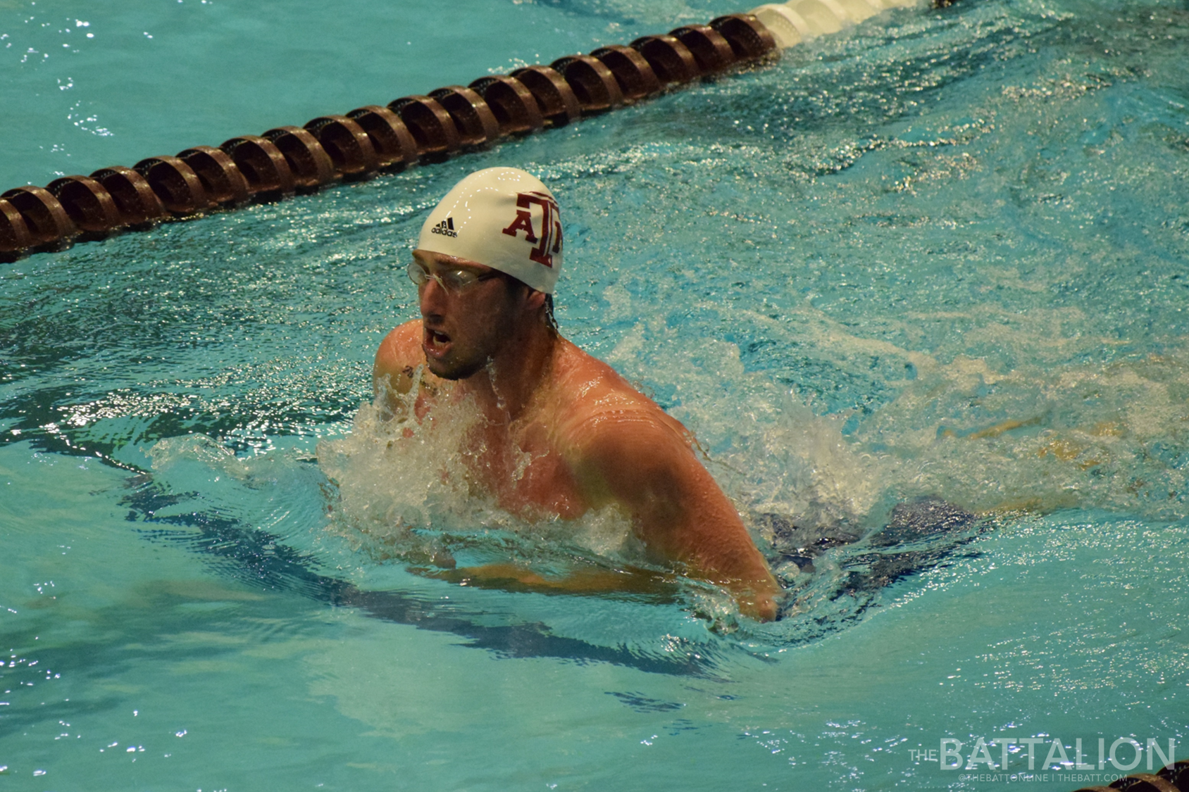 GALLERY: Men's Swimming vs. TCU