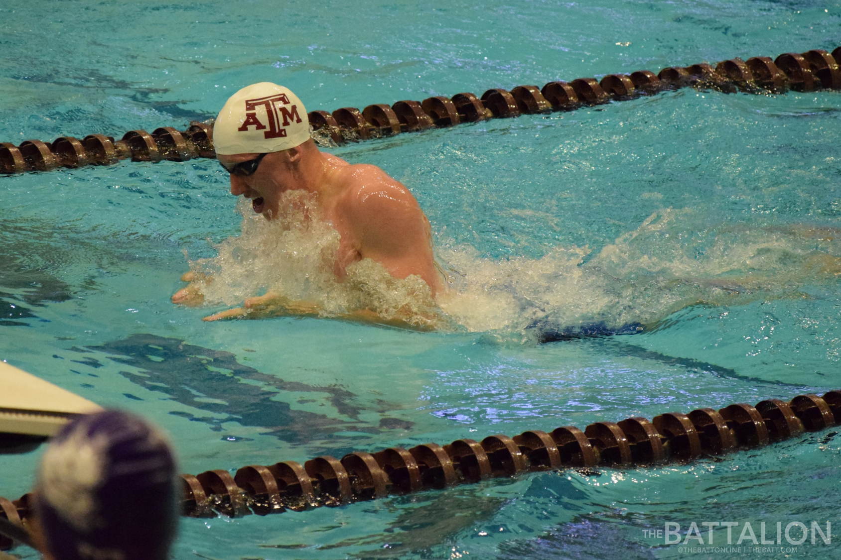 GALLERY: Men's Swimming vs. TCU