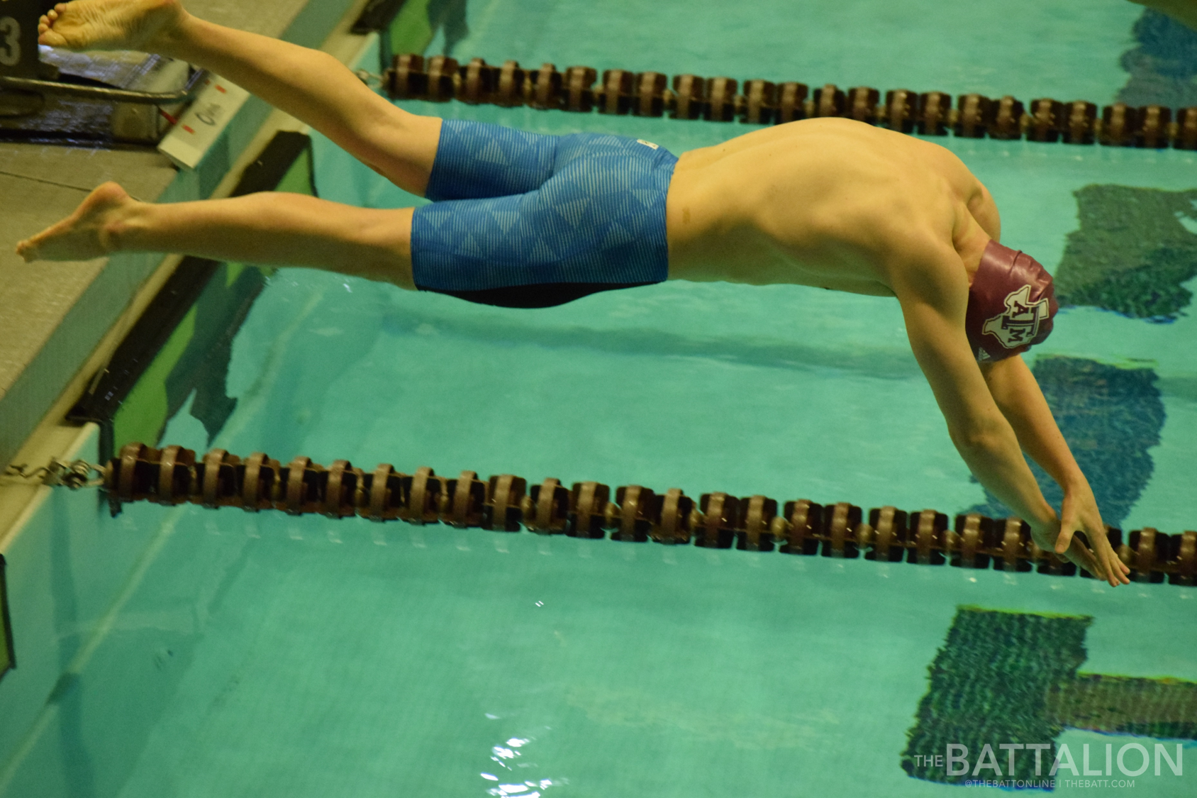 GALLERY: Men's Swimming vs. TCU