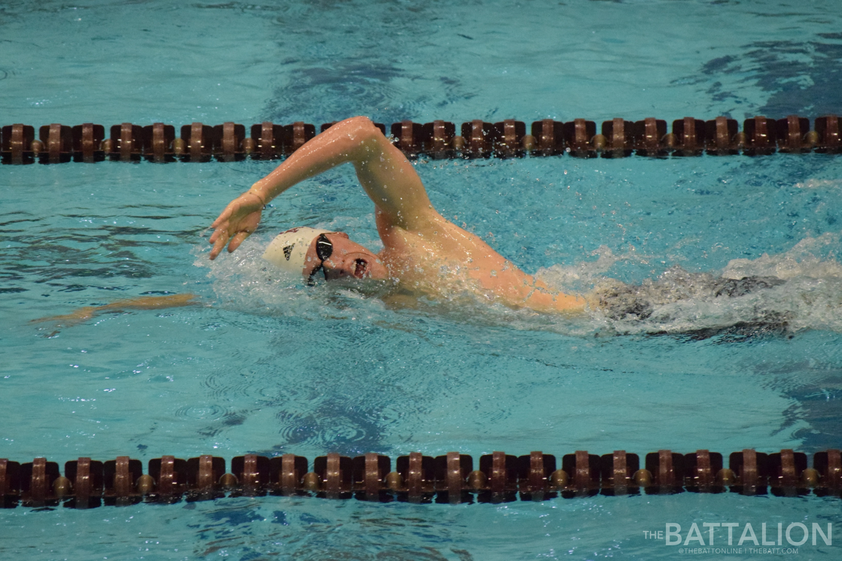 GALLERY: Men's Swimming vs. TCU