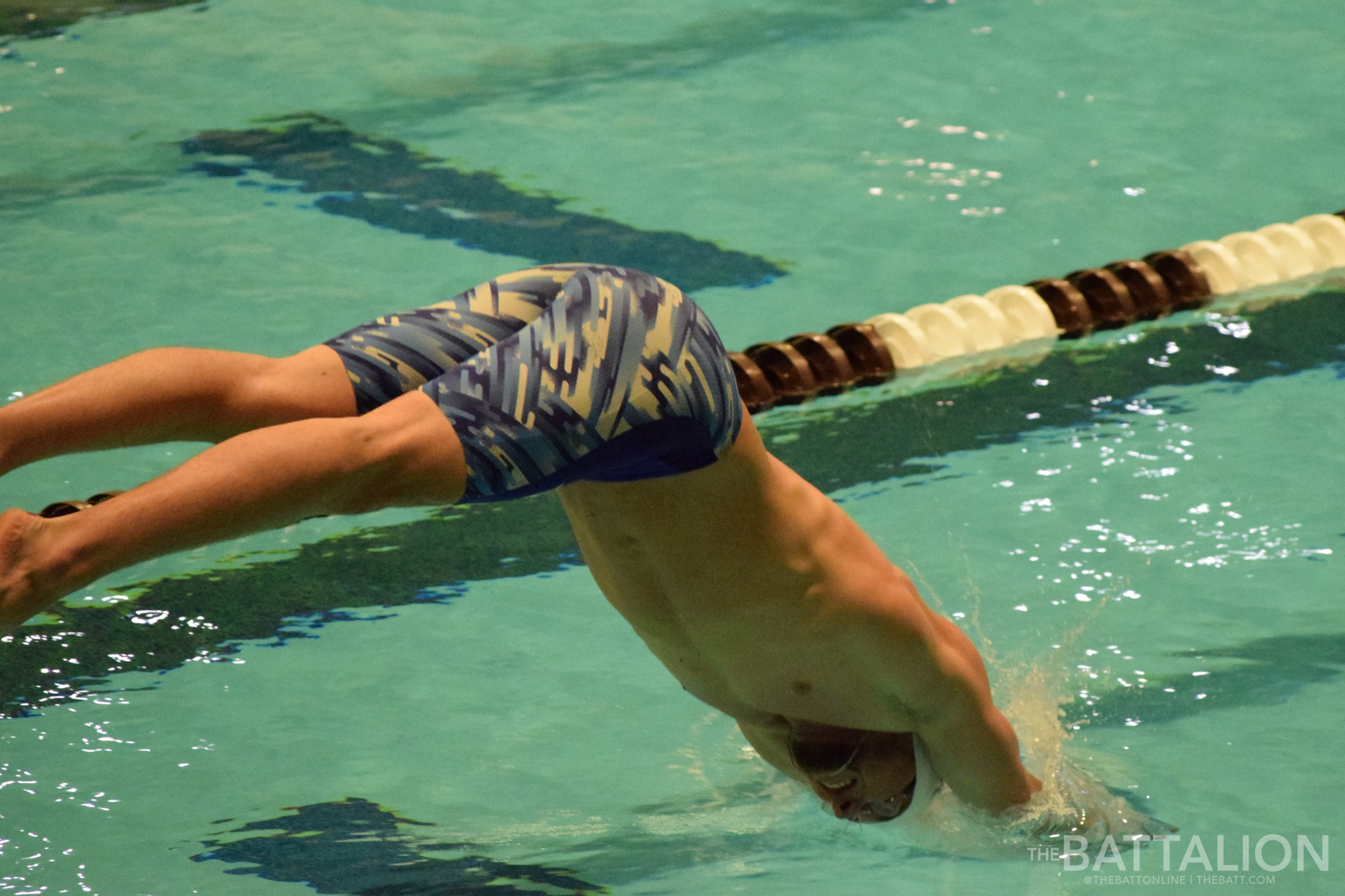 GALLERY: Men's Swimming vs. TCU