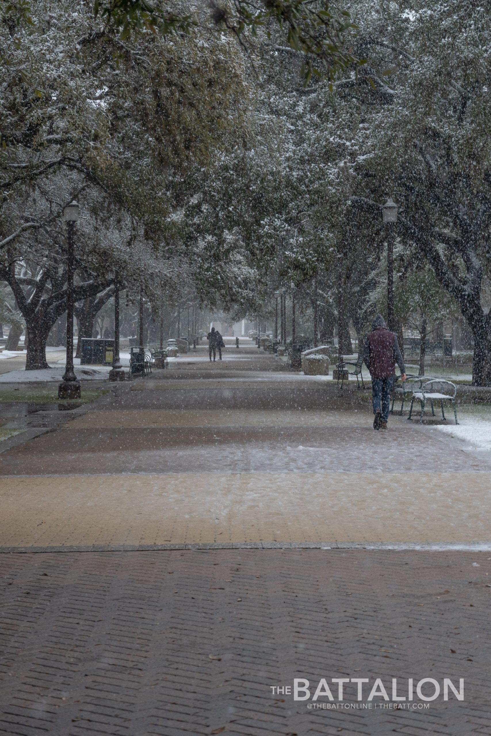 GALLERY: Snow in Aggieland