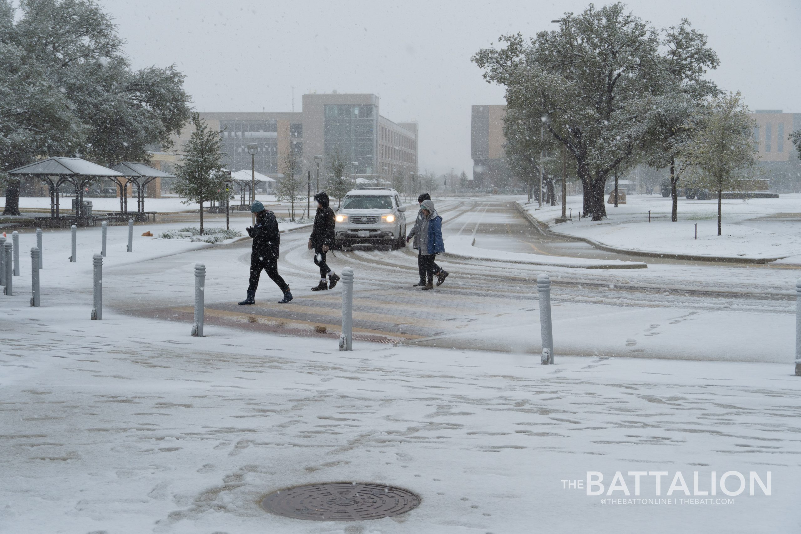 GALLERY: Snow in Aggieland