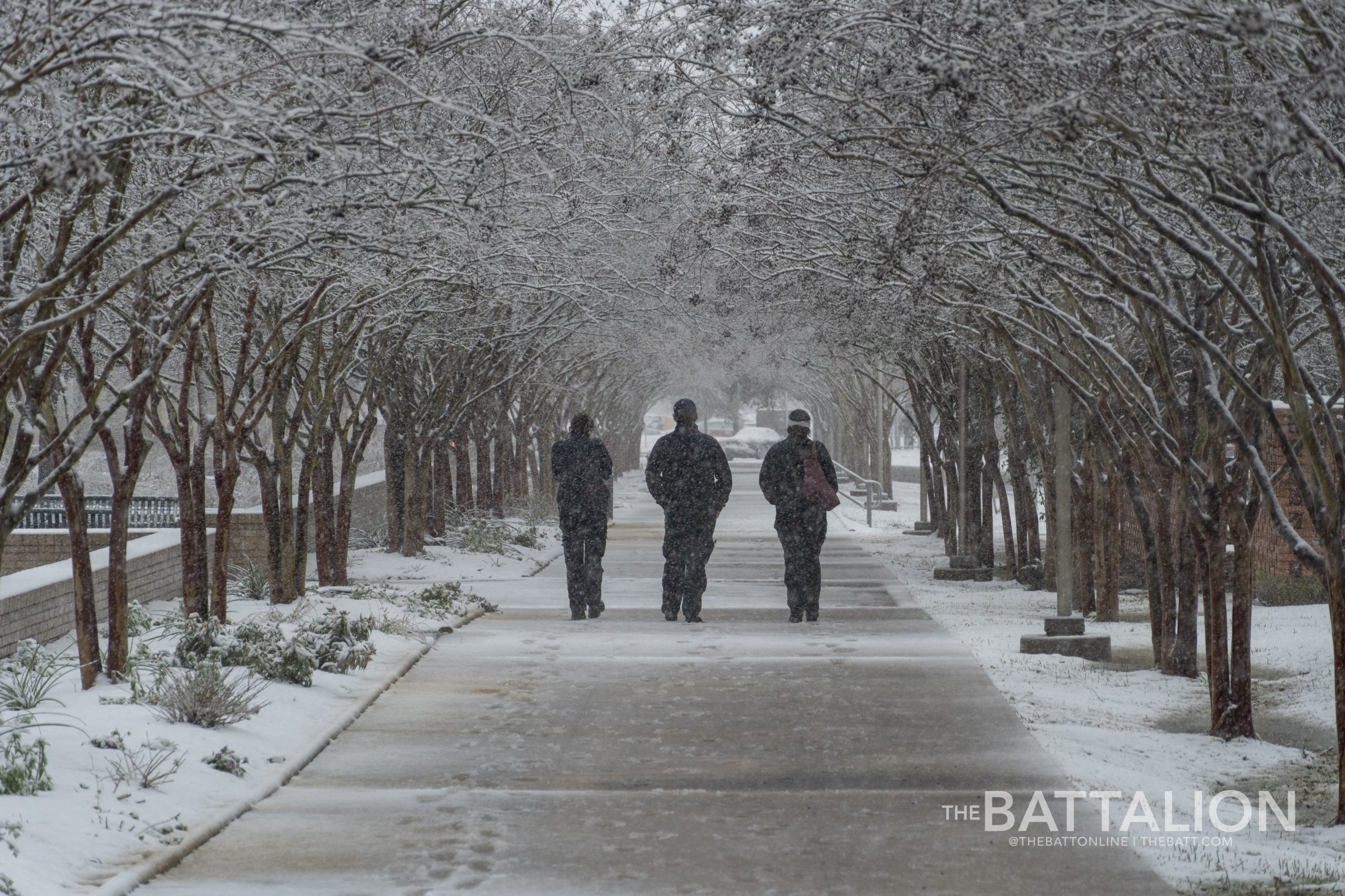 GALLERY: Snow in Aggieland