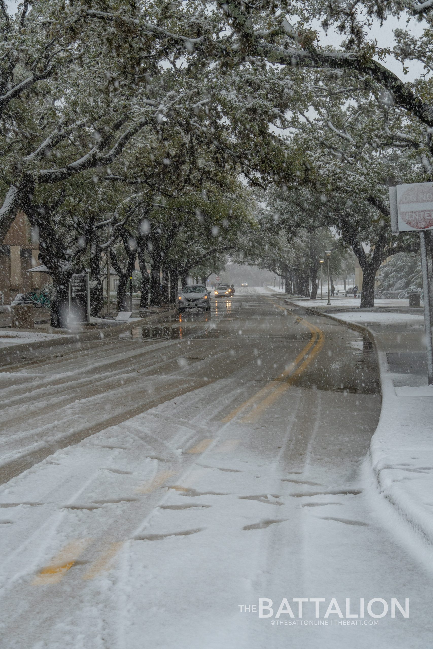 GALLERY: Snow in Aggieland