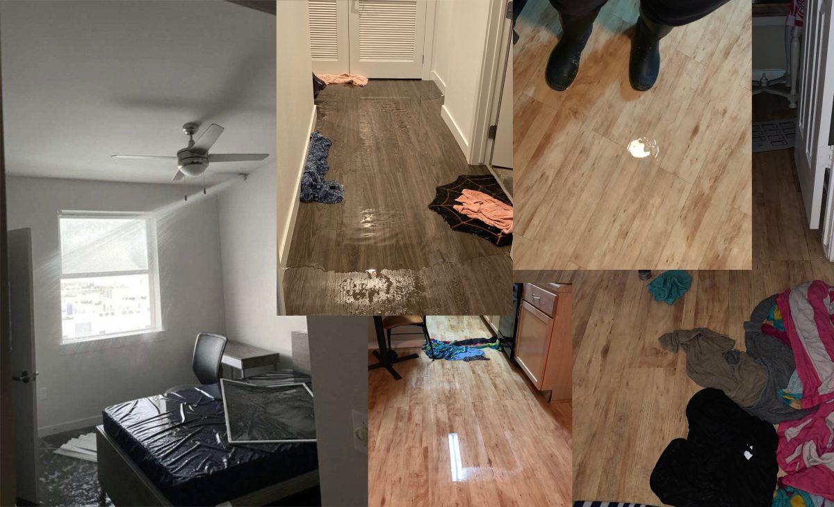 Due to severe winter weather last week, many apartment complexes across Brazos County experienced burst pipes that flooded housing and displaced residents.