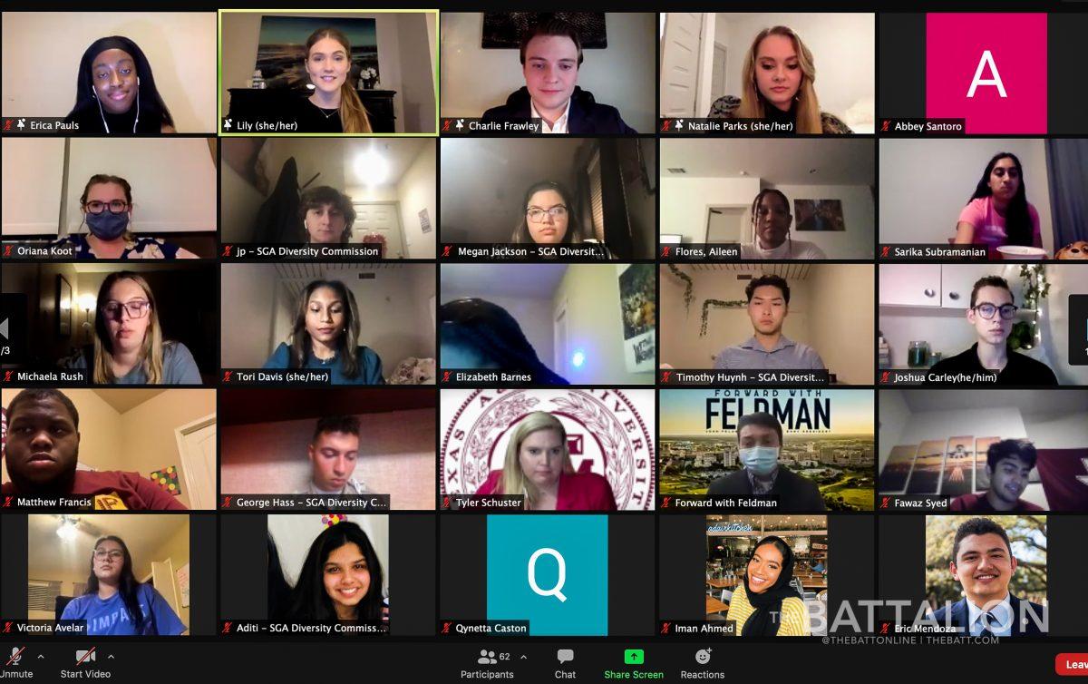 Candidates for Student Body President participated in a virtual diversity panel Tuesday evening. 