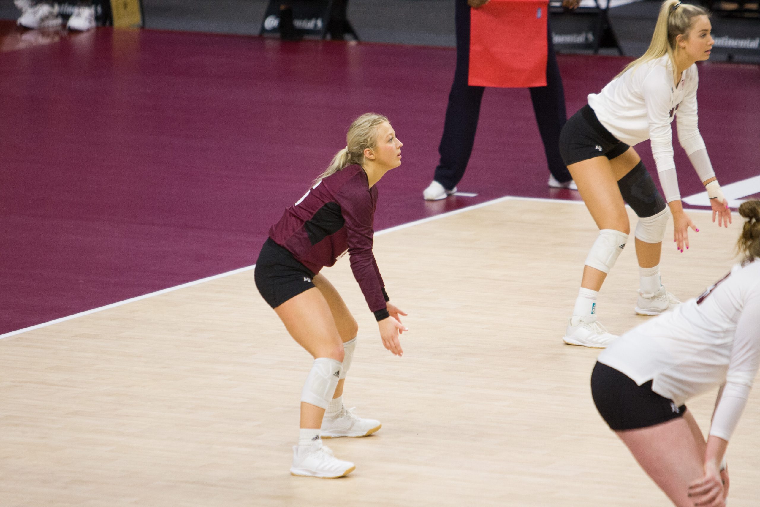 GALLERY: Volleyball vs. Alabama