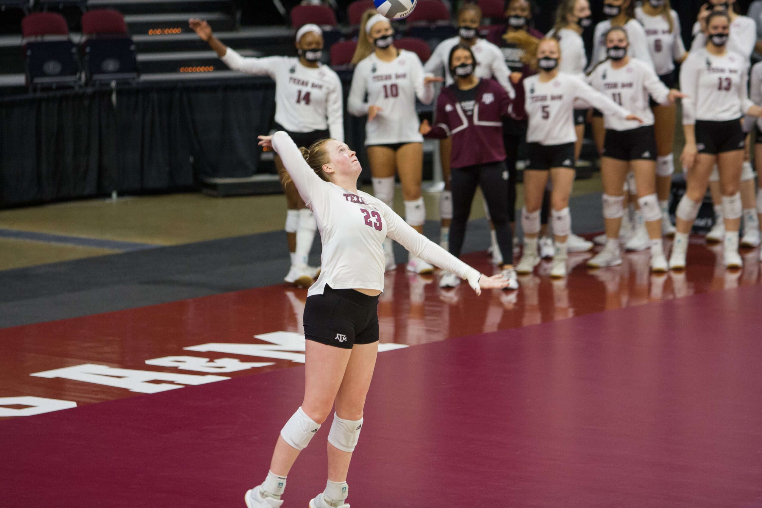 GALLERY: Volleyball vs. Alabama