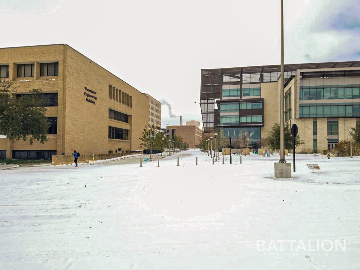The extreme winter weather Texas faced in February caused significant damages across Texas A&Ms campus, some of which have yet to be resolved. 