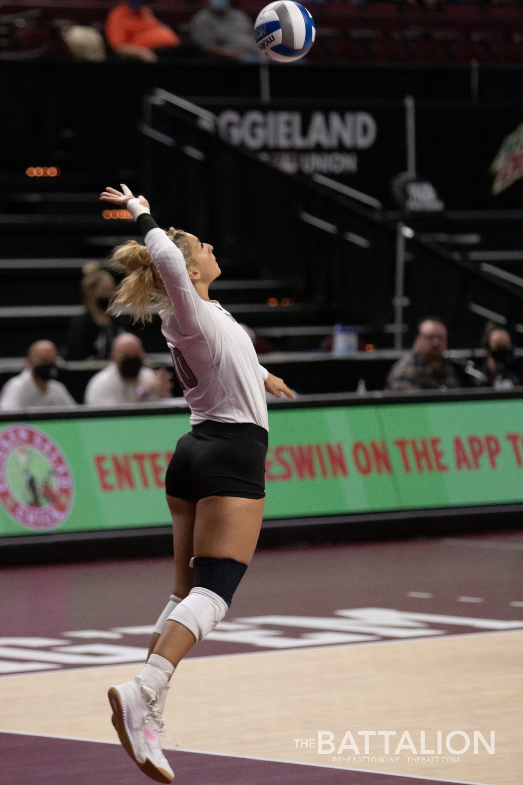 GALLERY: Volleyball vs. Florida