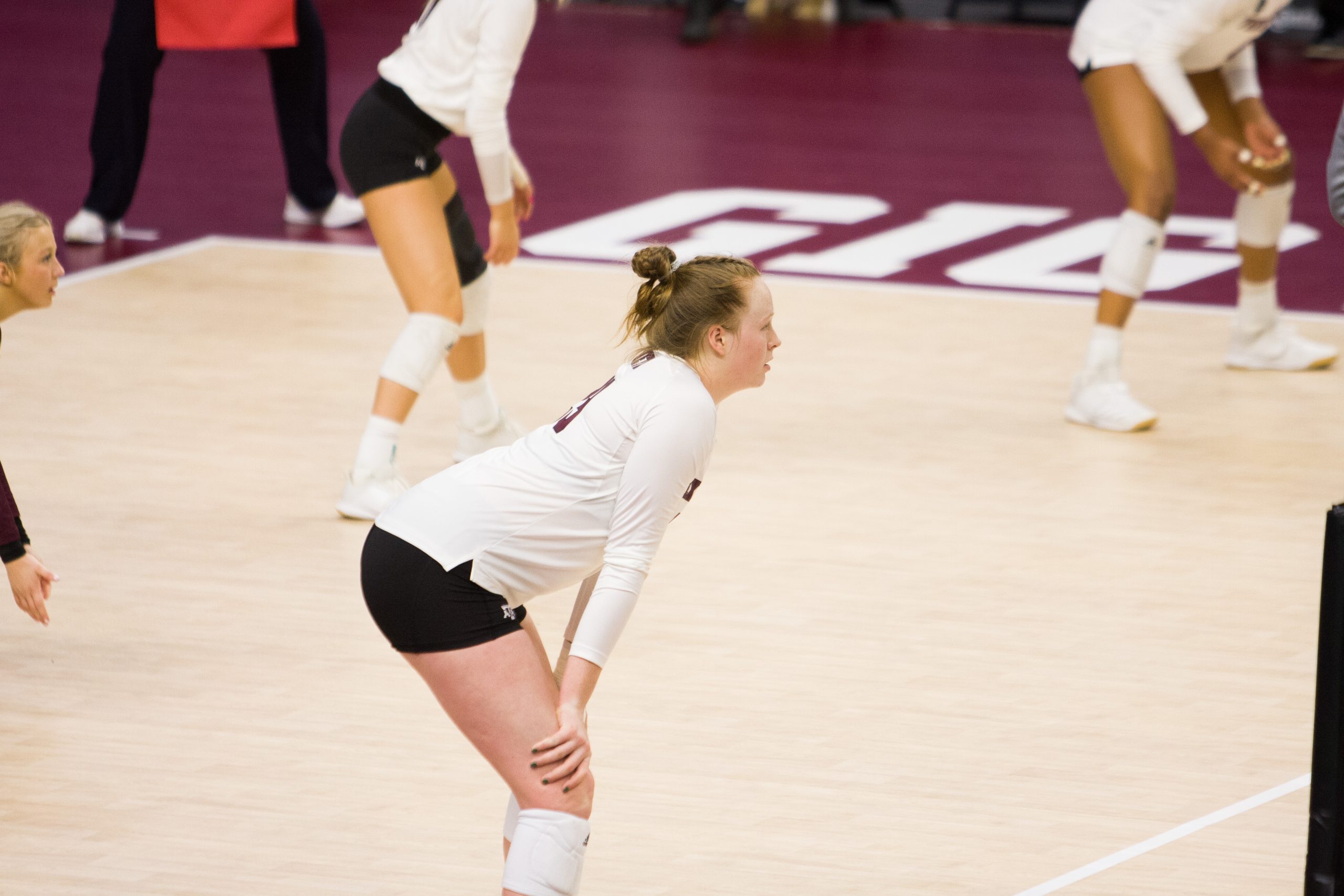 GALLERY: Volleyball vs. Alabama