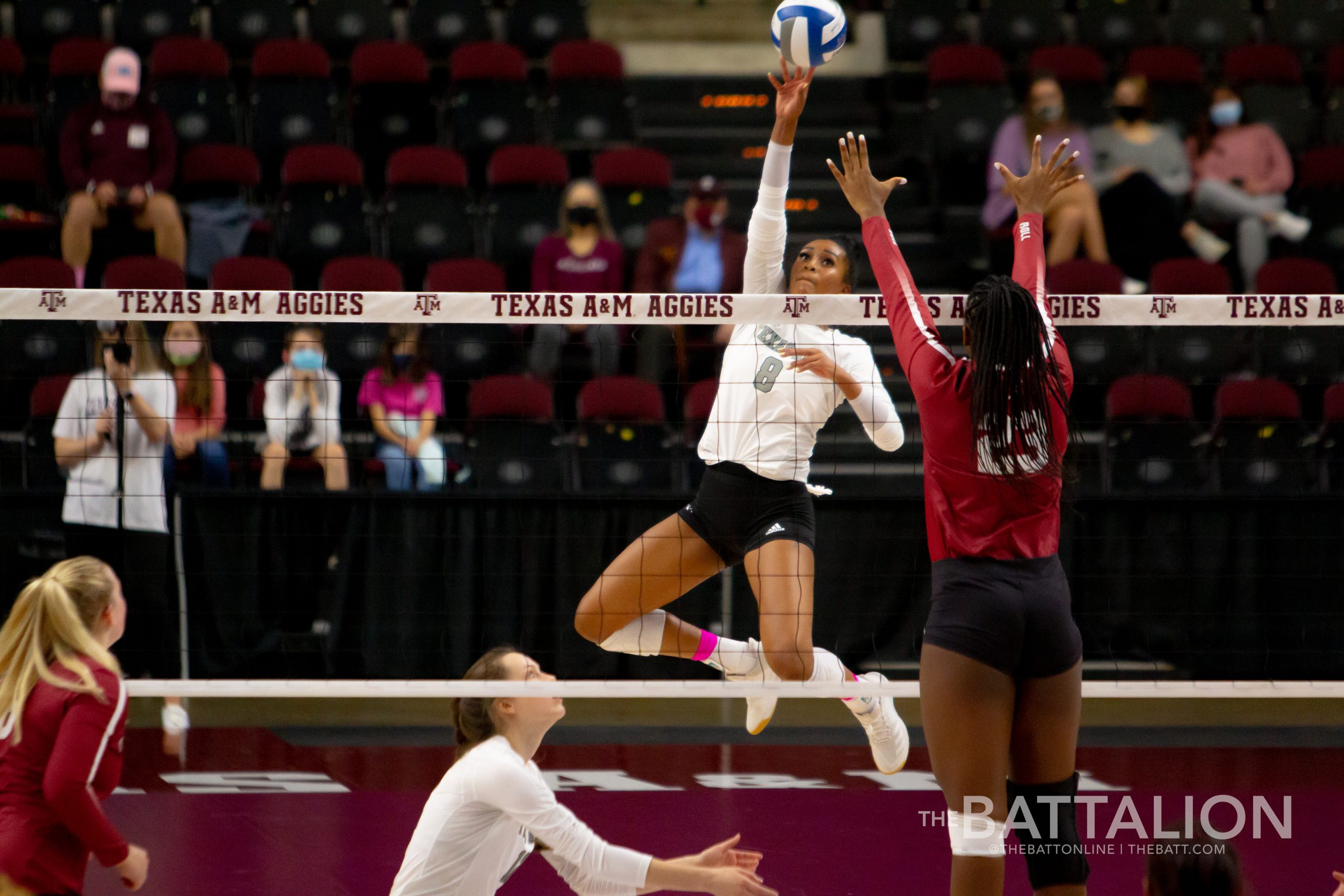 GALLERY: Volleyball vs. Alabama