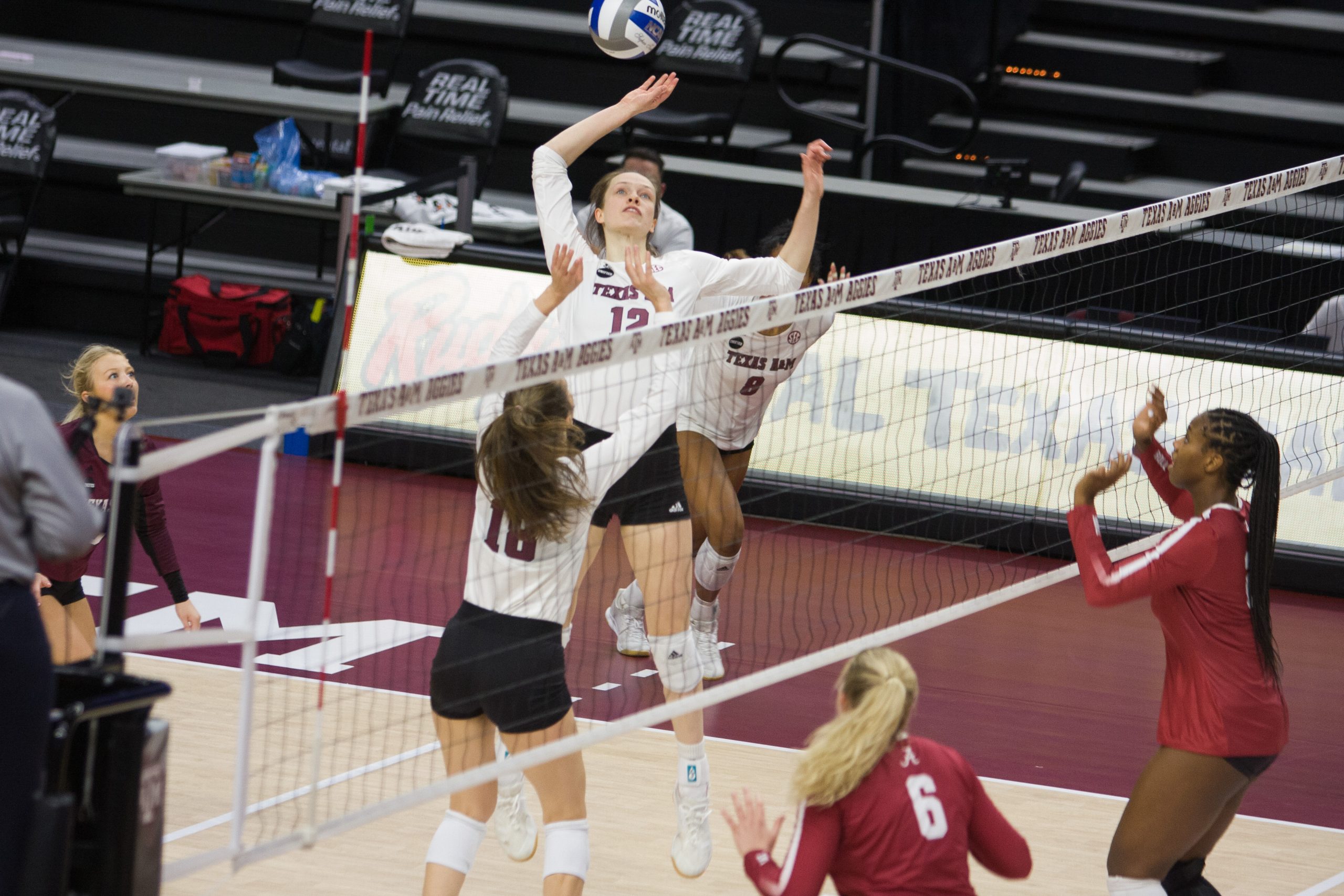 GALLERY: Volleyball vs. Alabama