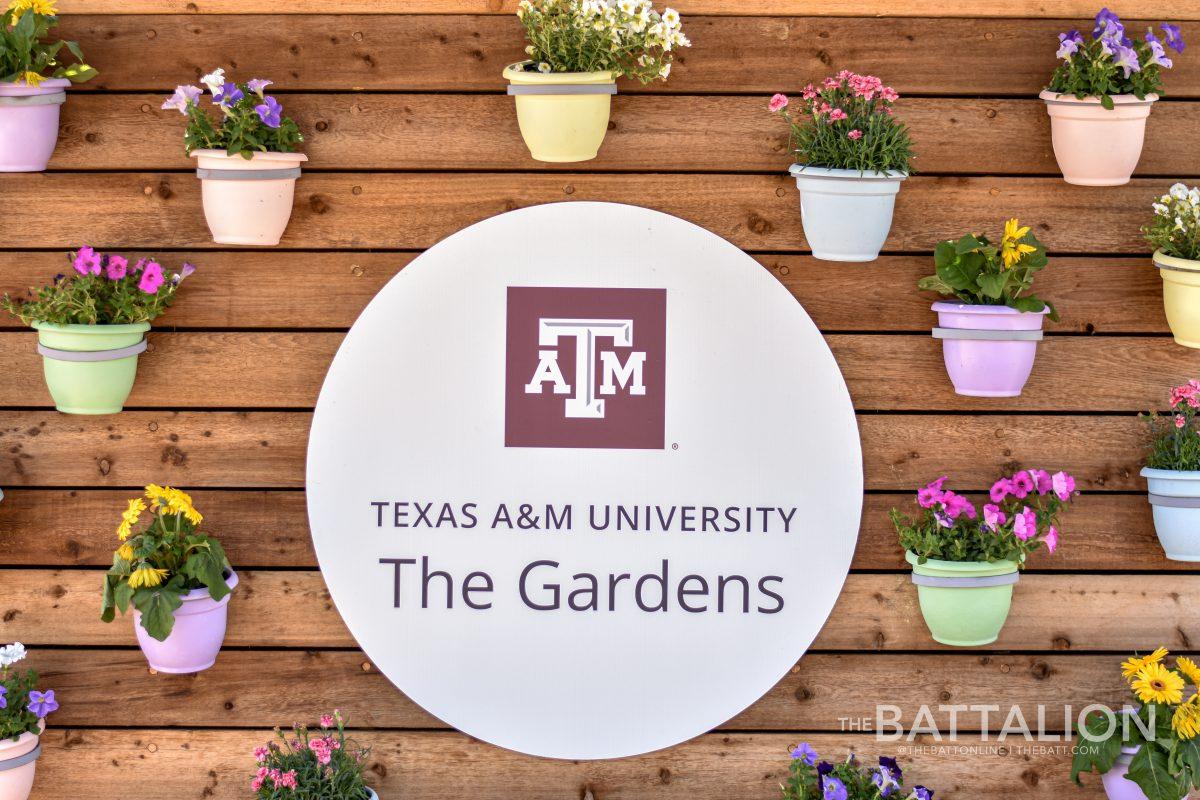 Earth Day will be held on Thursday, April 22 and students are encouraged to take advantage of the opportunity to learn more about the environment through a number of experiences in College Station. 